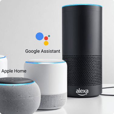 VoiceAssistant